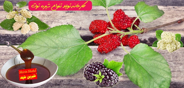 تولید شیره توت سنتی و صنعتی