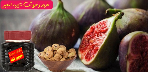 خرید آنلاین شیره انجیر اصل