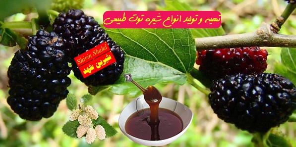 خرید عمده شیره توت طبیعی