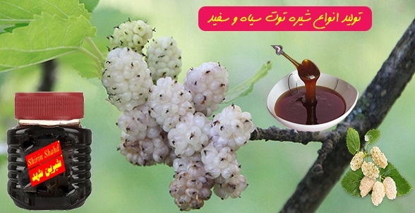 فروش اینترنتی شیره توت
