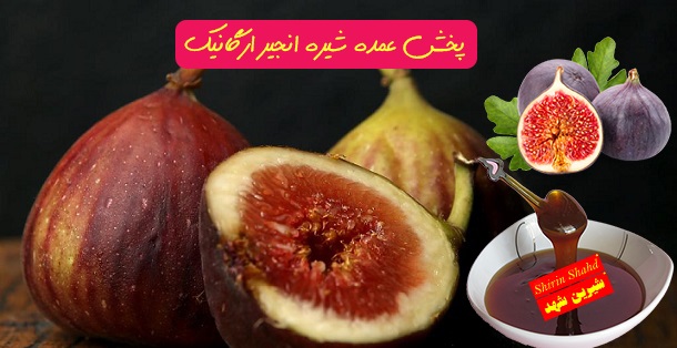 فروش شیره انجیر ارزان قیمت سنتی