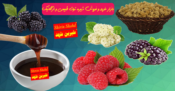 عرضه انواع شیره توت طبیعی و تازه