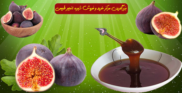 مرکز اصلی فروش شیره انجیر ناب