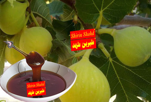 خرید و فروش شیره انجیر محلی اصل