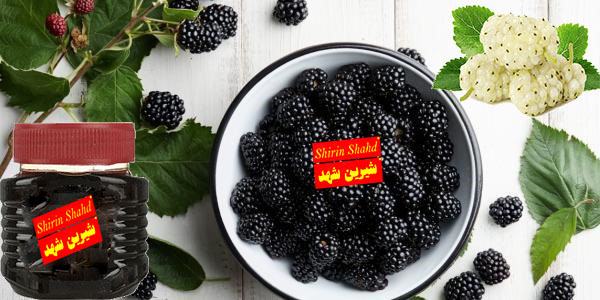 قیمت هر کیلو شیره توت سنتی و صنعتی