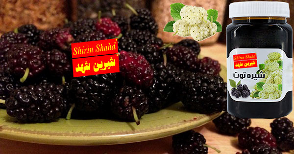 تولید شیره توت سفید طبیعی اصل