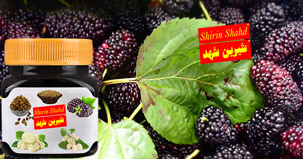 خرید شیره توت ممتاز با قیمت ارزان