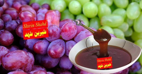 فروشگاه عرضه شیره انگور ارزان و تازه