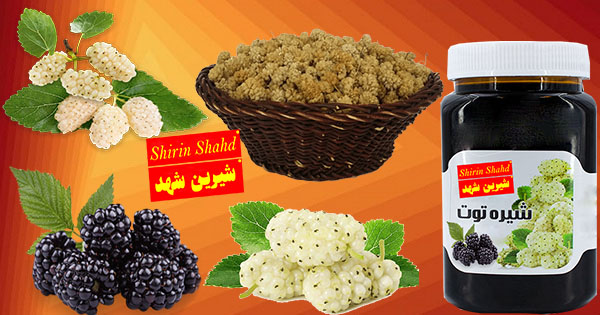 خرید شیره توت سنتی در تهران